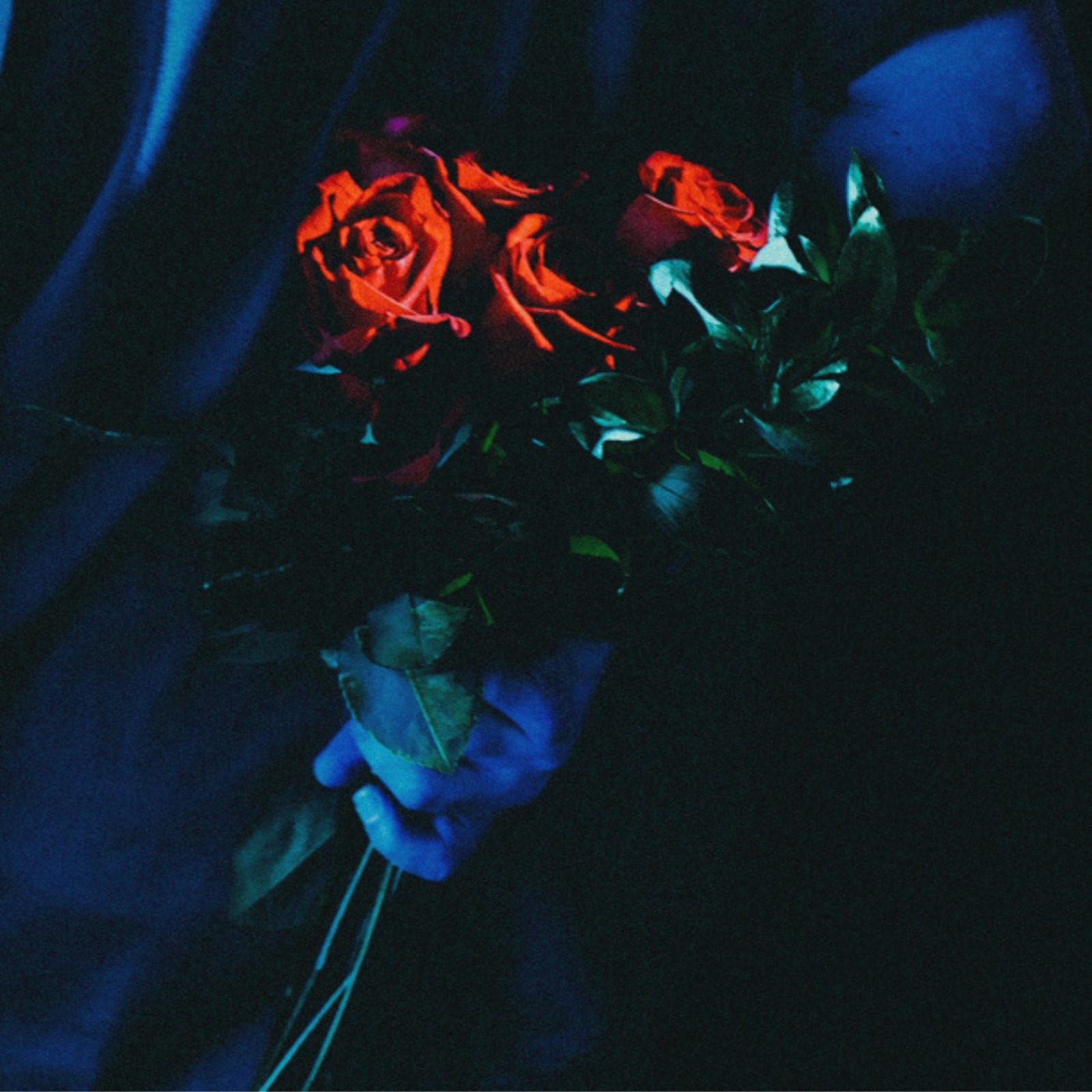 TYYE Steps Into a Bold New Era With “whole thing”