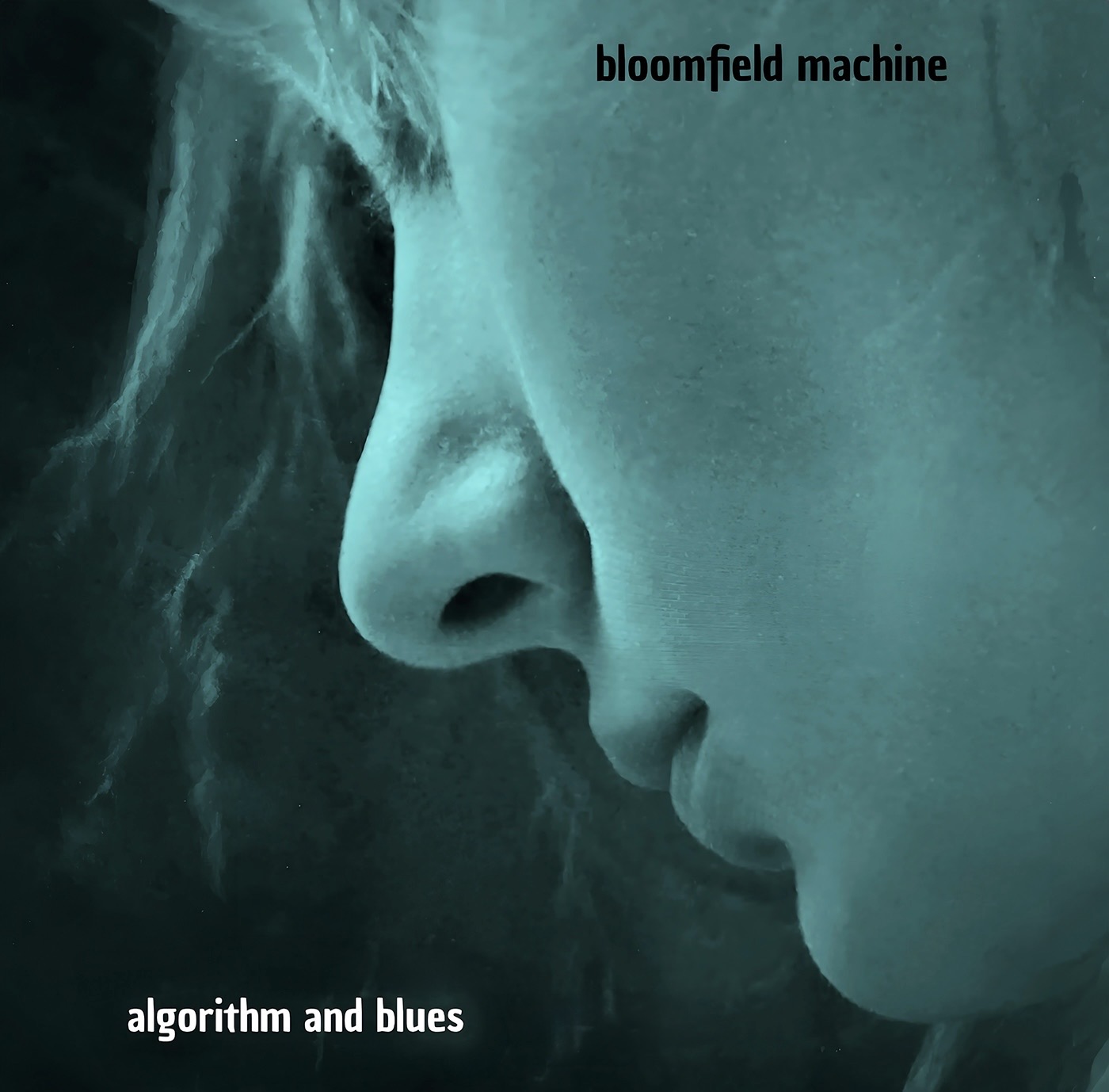 BLOOMFIELD MACHINE – ALGORITHM & BLUES