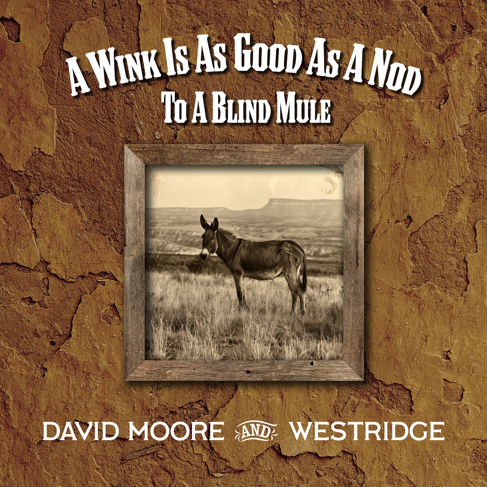 DAVID MOORE – A Wink Is As Good As A Nod To A Blind Mule